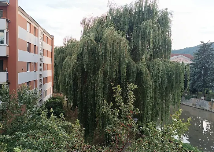 M Family Apartment
