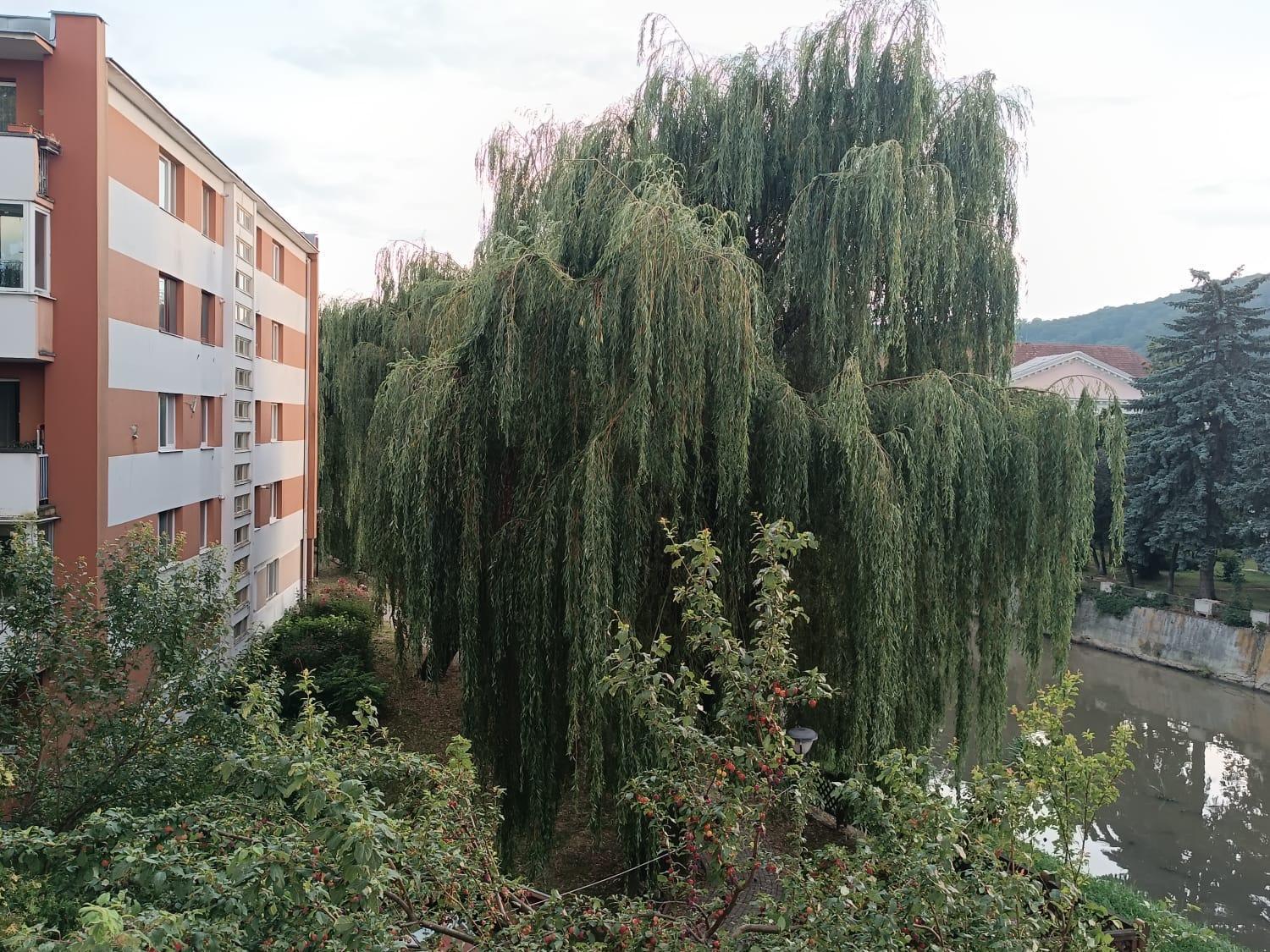 M Family Apartment